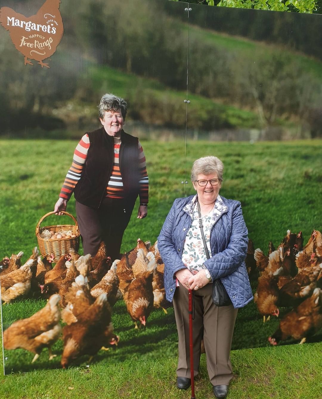 'Free Range Blessings' lays out egg enterprise journey