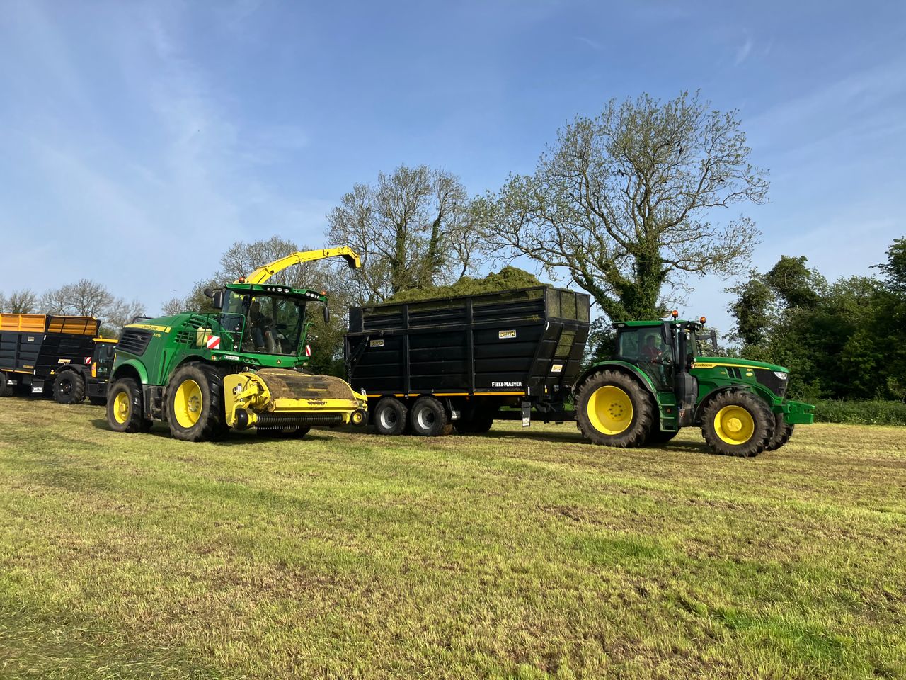 Should we grab weather window to make high-quality silage?