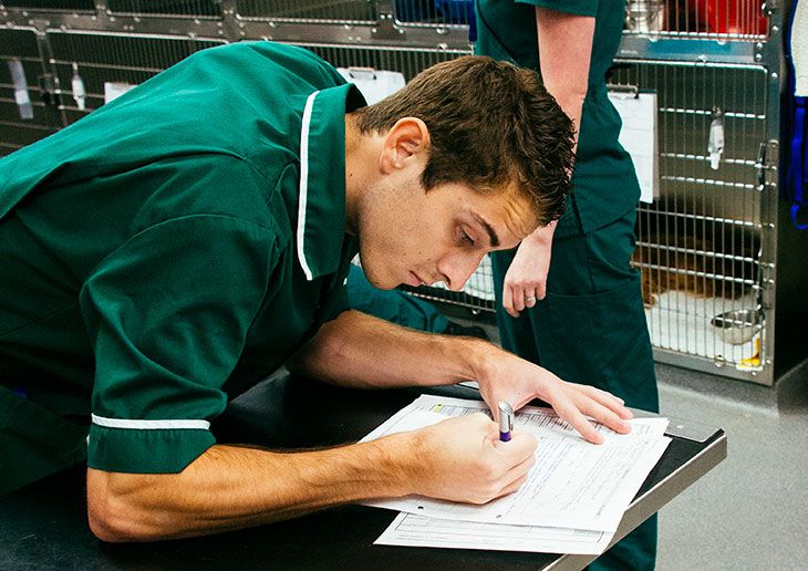 VCI gives update on regulating strict new EU vet medicine laws