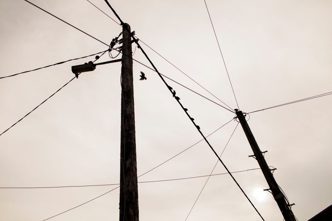 184k homes and farms without power due to Storm Amy