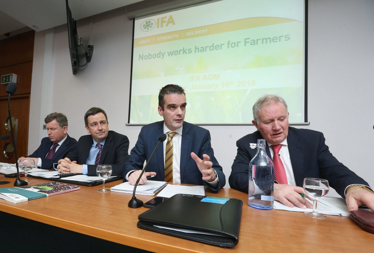 IFA recorded €1.4 million operating loss over the last year