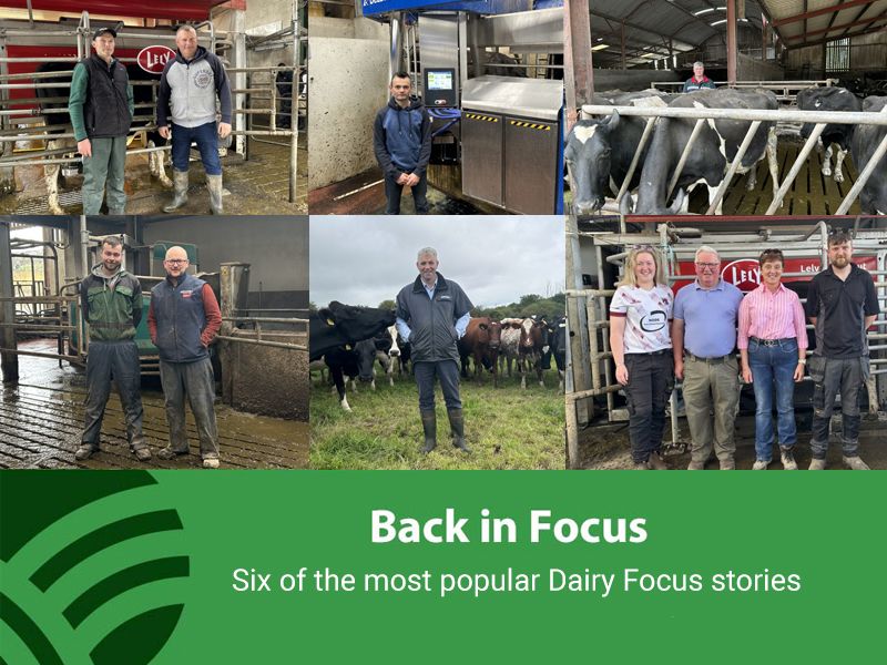 'Dairy Throwback' series to go live over festive period