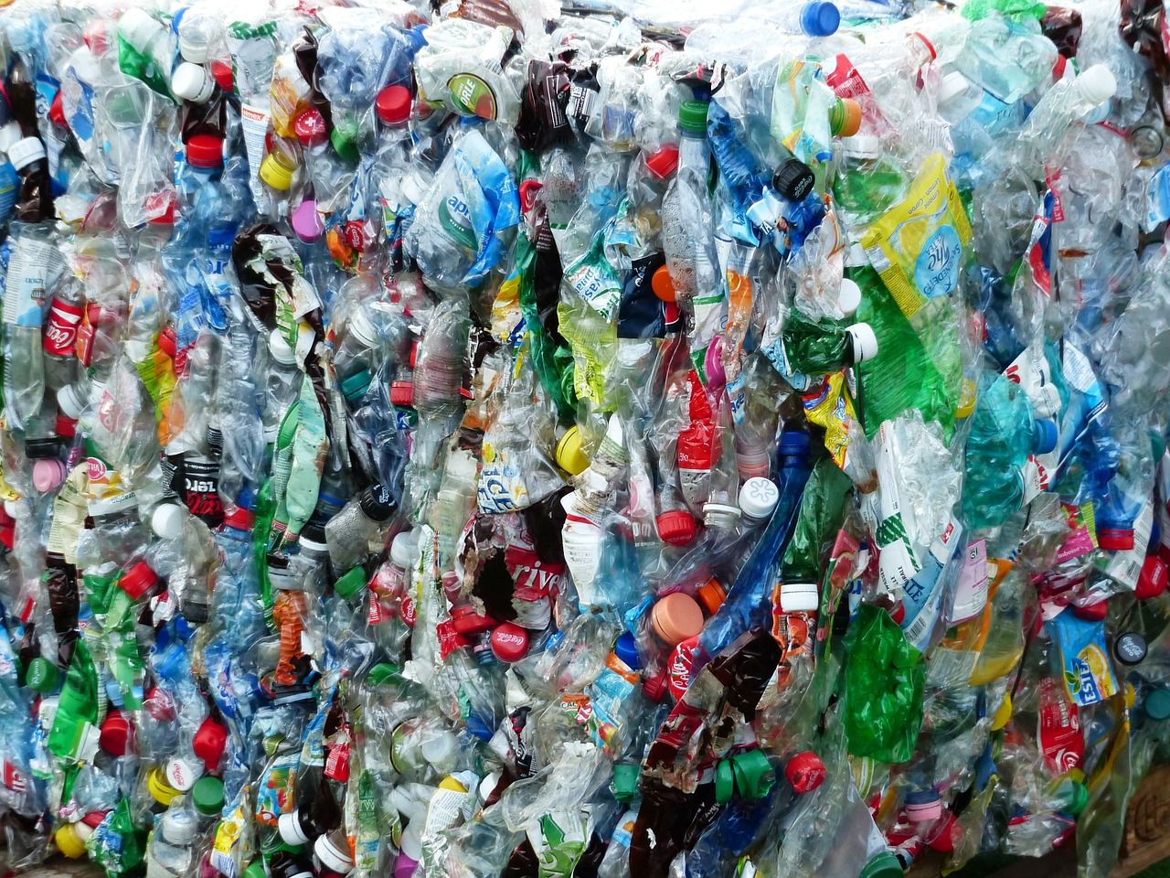 Calls for NI to invest in technology to reduce methane emissions from waste