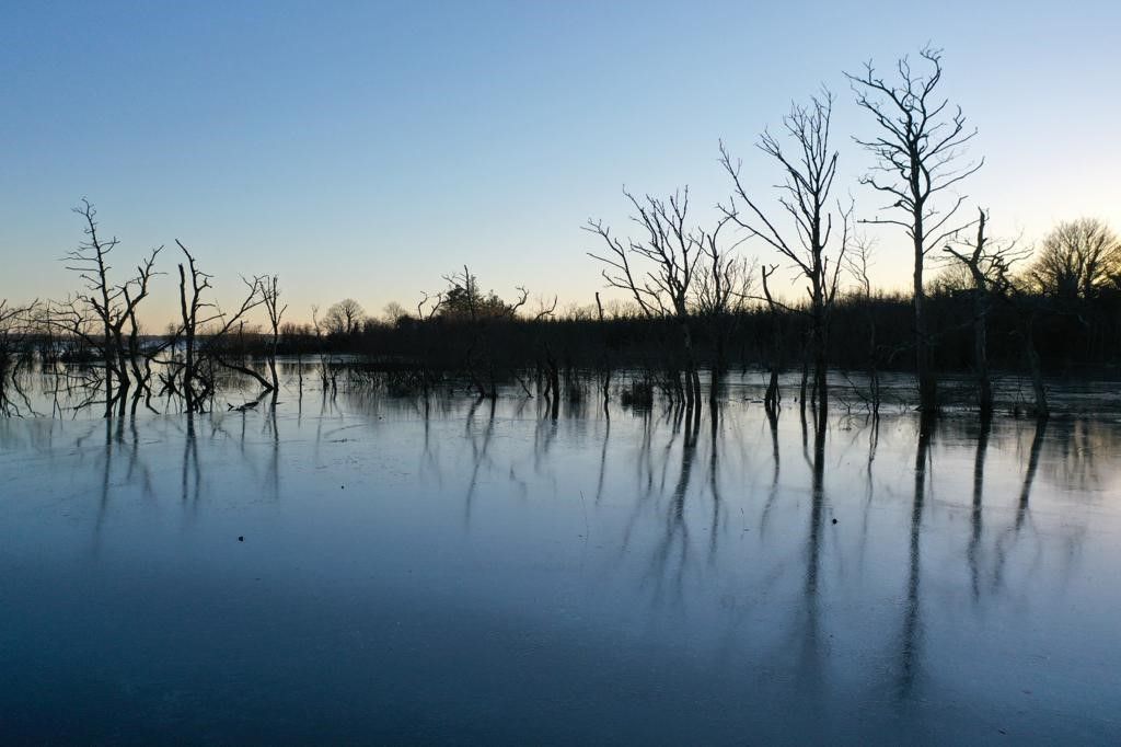 Lough Funshinagh residents can't be abandoned - TD