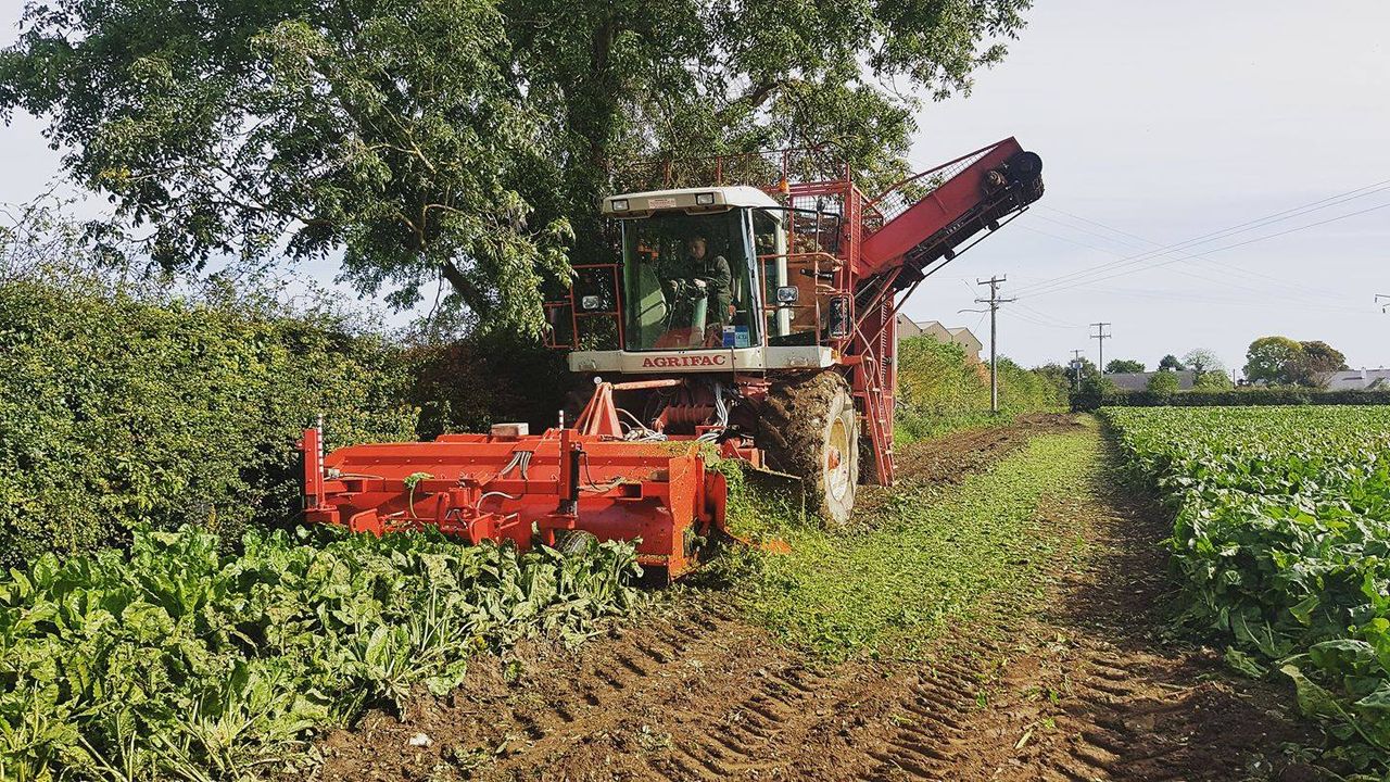Self-propelled beet harvester in action at open event on Sunday
