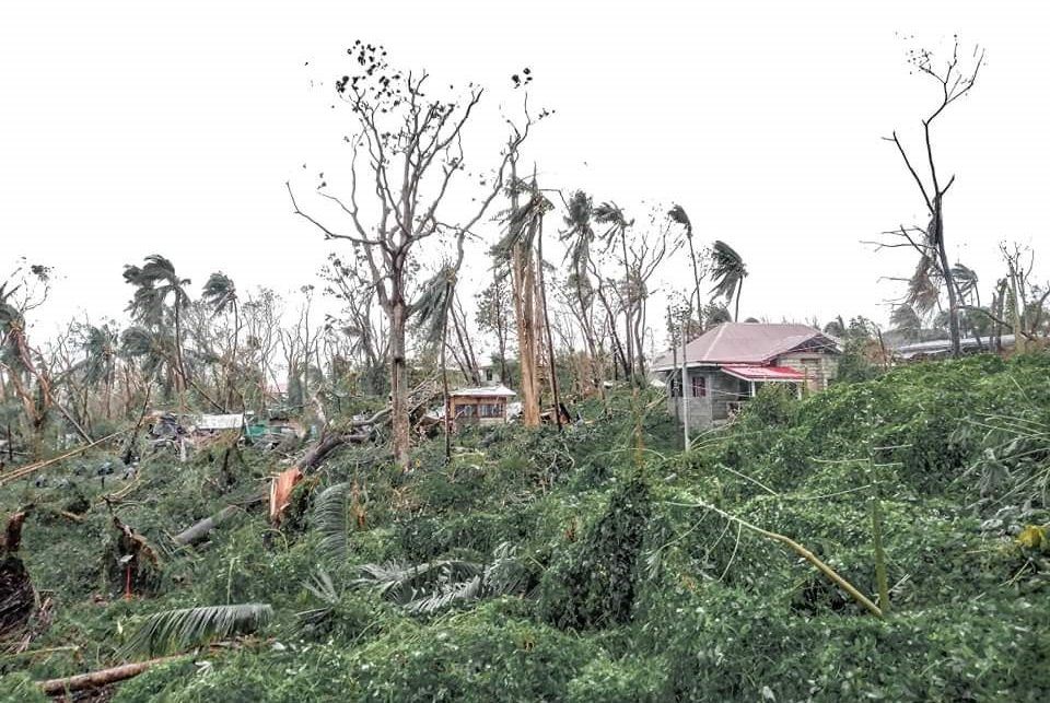 Irish dairy farmer's donation appeal after massive storm in Philippines