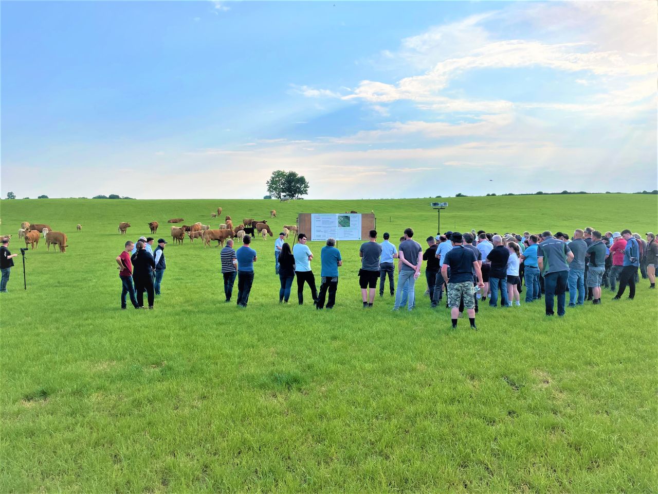 Suckler beef sector dilemma highlighted at IGA farm walk