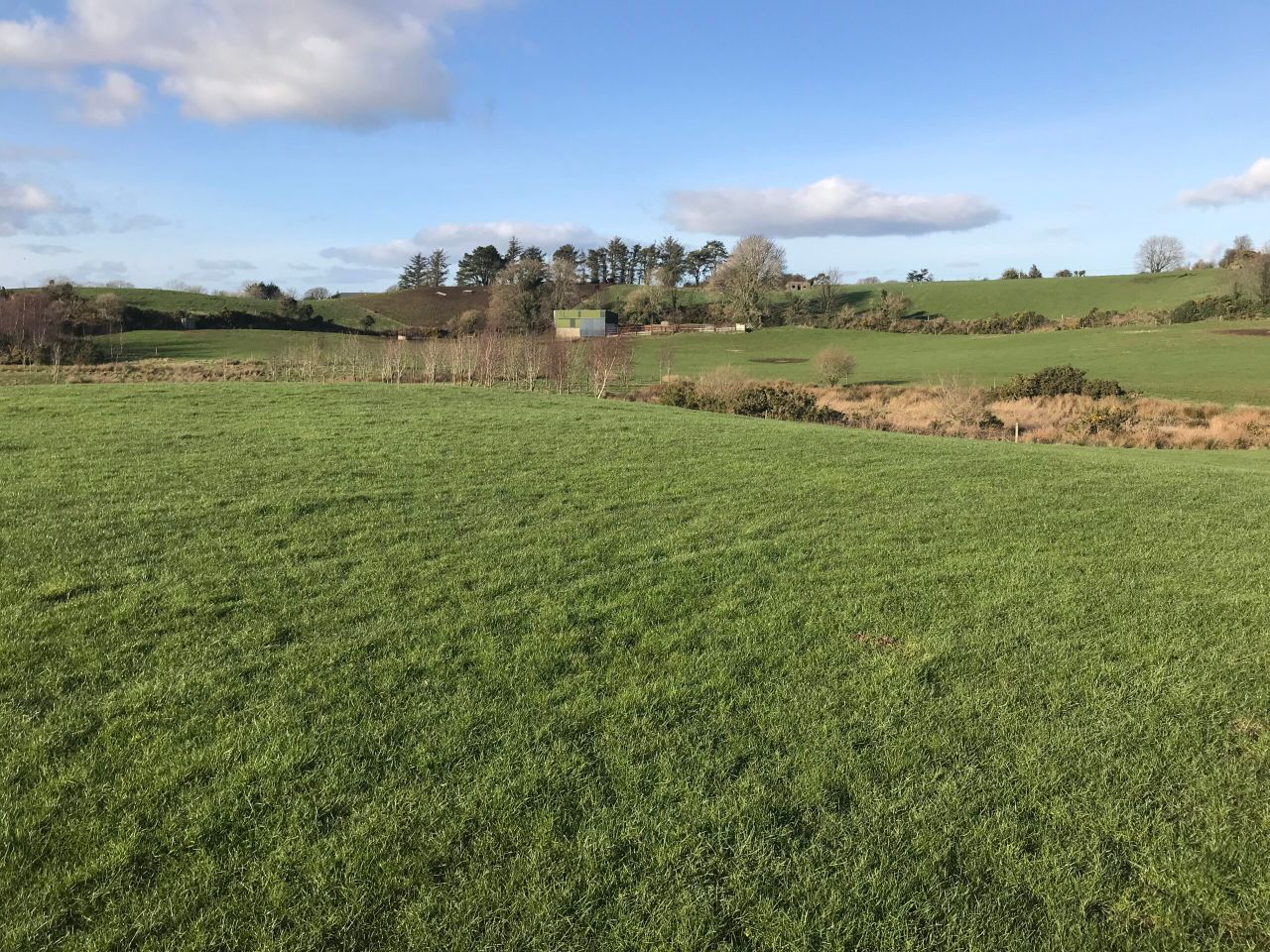 56ac holding for sale in scenic Screen, Co. Wexford