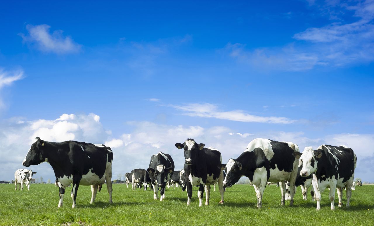 New JBS fertiliser facility has capacity to create 150,000t annually
