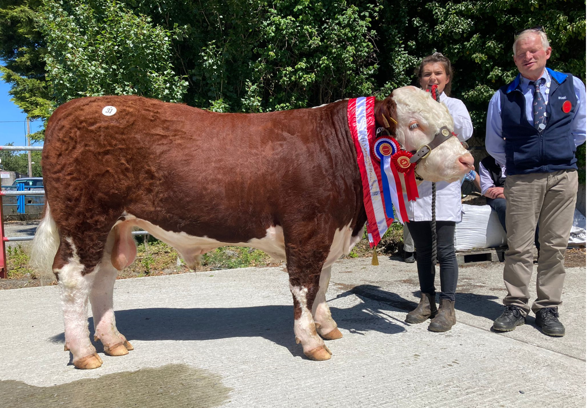 Royal County bull takes top price at Nenagh Hereford sale