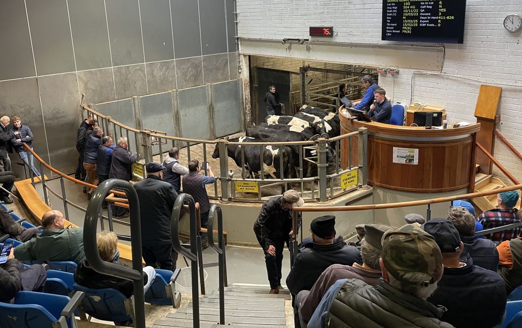 Kilkenny Mart