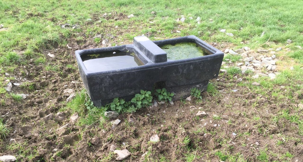 Contaminated water in Tipperary unsafe for humans and animals