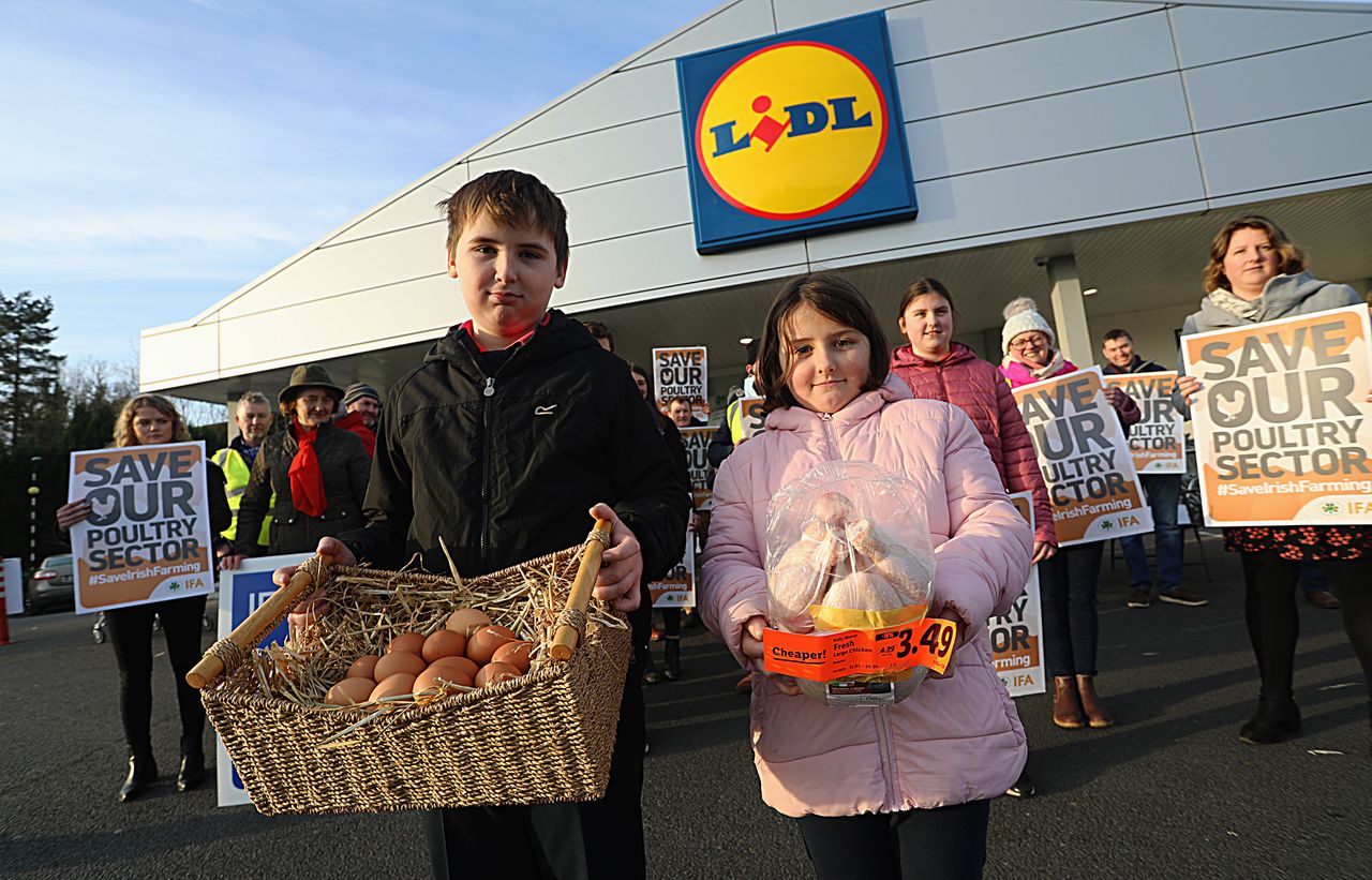 Lidl to hold meeting with farmers to discuss poultry pricing concerns
