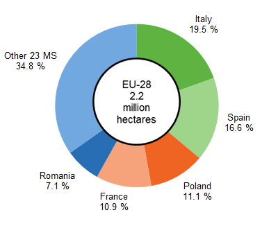Fresh vegetables area by EU Member States in 2015 Source: Eurostat