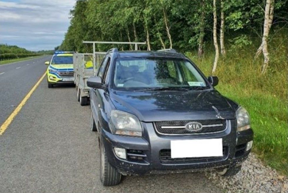 Driver of 4X4 towing trailer reined in after 'dummy' deed
