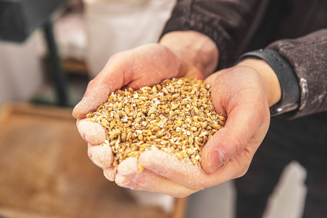 Farm orgs respond to harvest 2024 grain price offerings