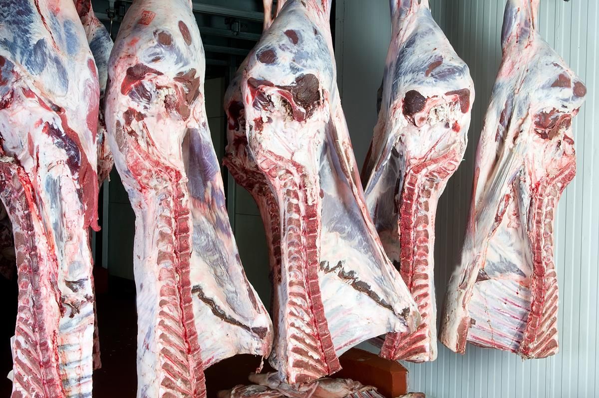Irish composite beef price 40c/kg below export benchmark price