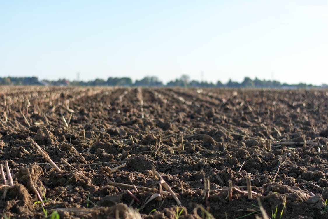 Soil health training for Co. Down farmers to start next week