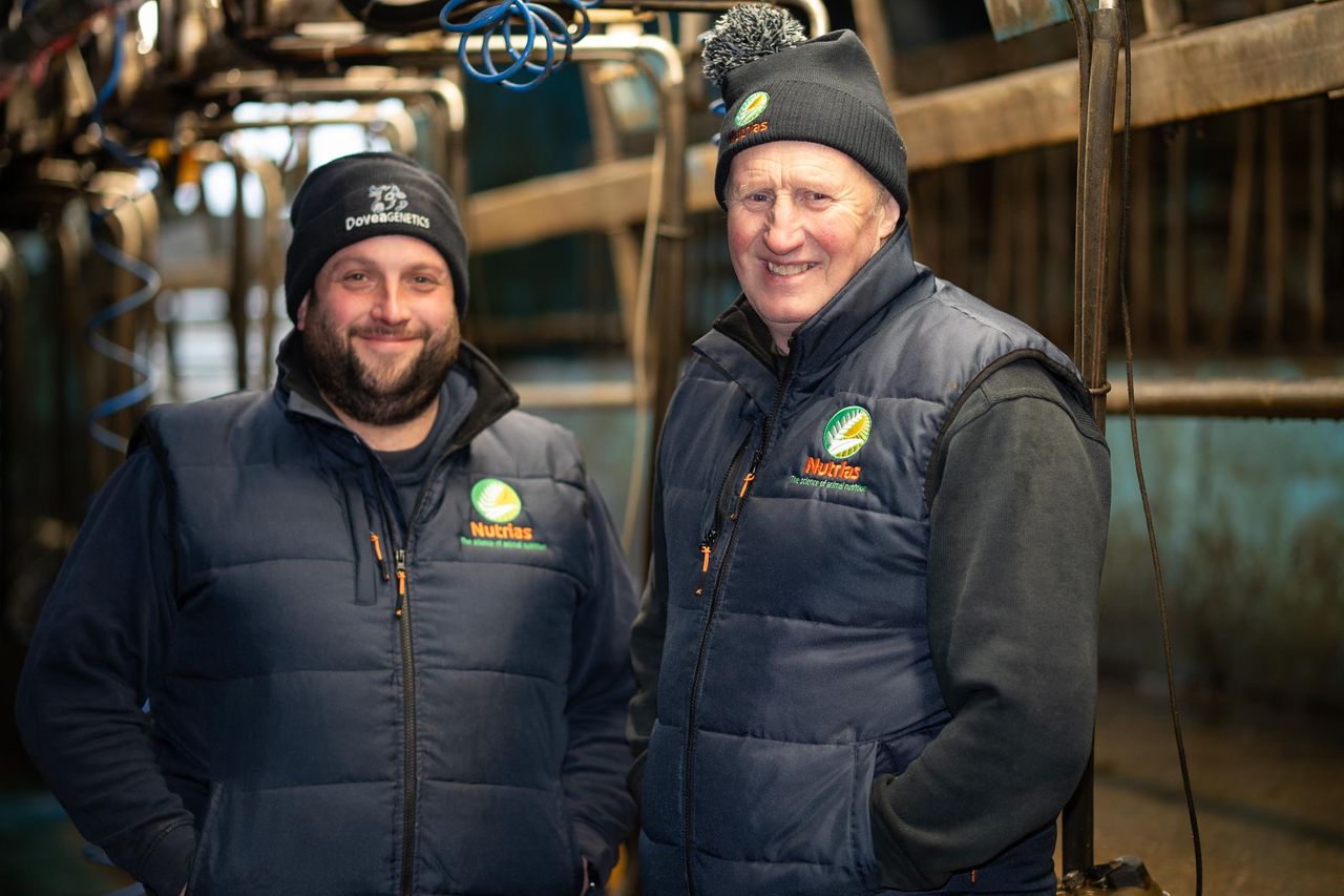 Raising healthy calves on the McCloy–Peoples farm in Co. Donegal