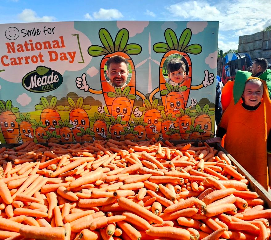 National carrot appreciation day launched