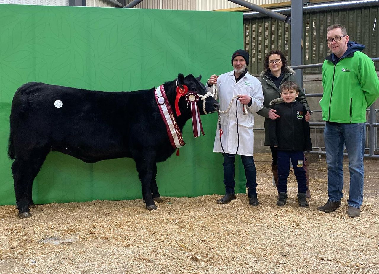 Average price of €3,550 for Angus bulls at Carrick sale