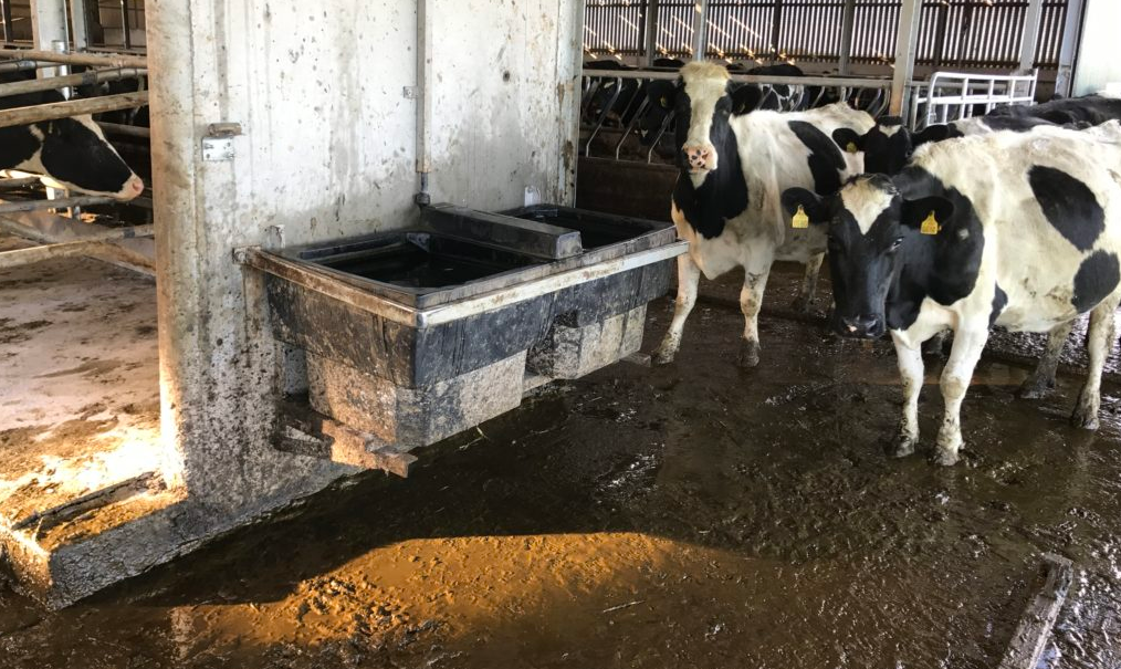 DAFM to conduct 500 nitrates inspections this year