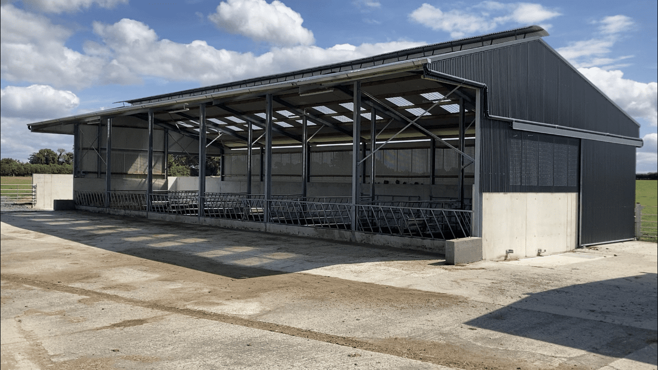 Buildings Focus: 6-bay slatted shed for Kilkenny suckler-to-beef farm