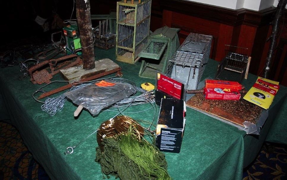 Gardai hold first ever wildlife crime training seminar
