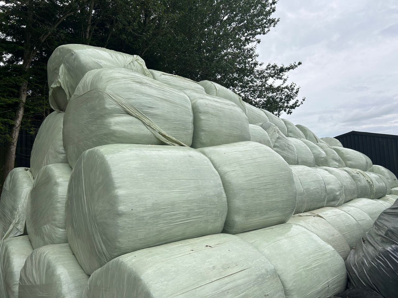Take action now if your fodder supply is tight for winter