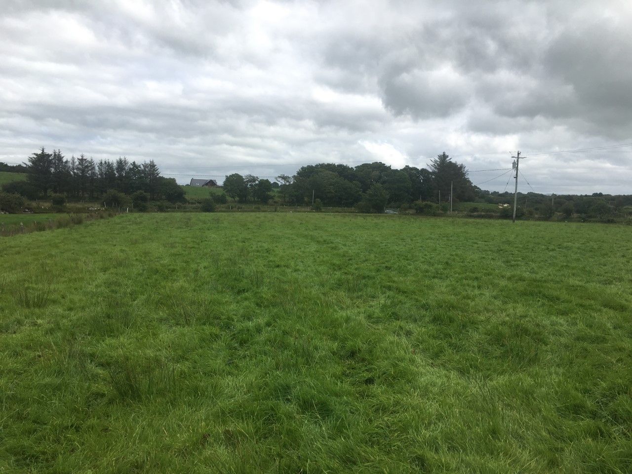 Weather affects value of prime grassland at start of 2025