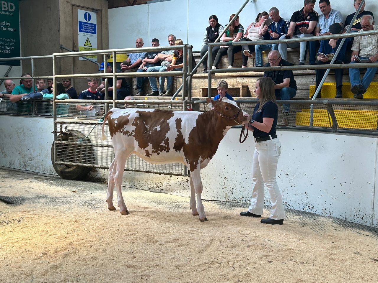 8,000gns achieved at Promise of Protein sale