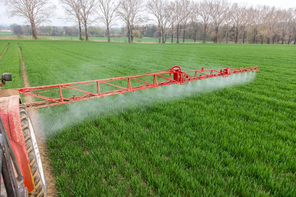 Cases of glyphosate resistance in Italian rye-grass could increase - group
