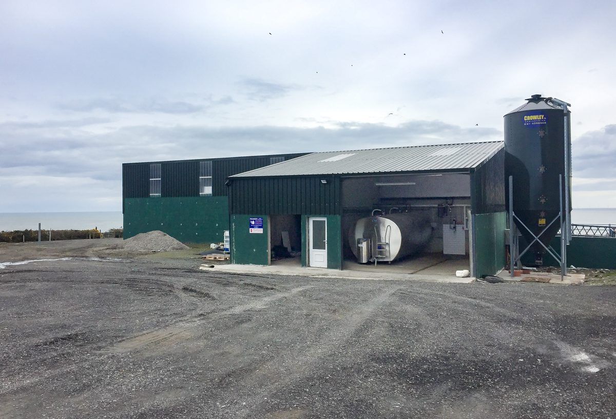 Dairy throwback: Converting to dairy on a budget in Co. Wicklow