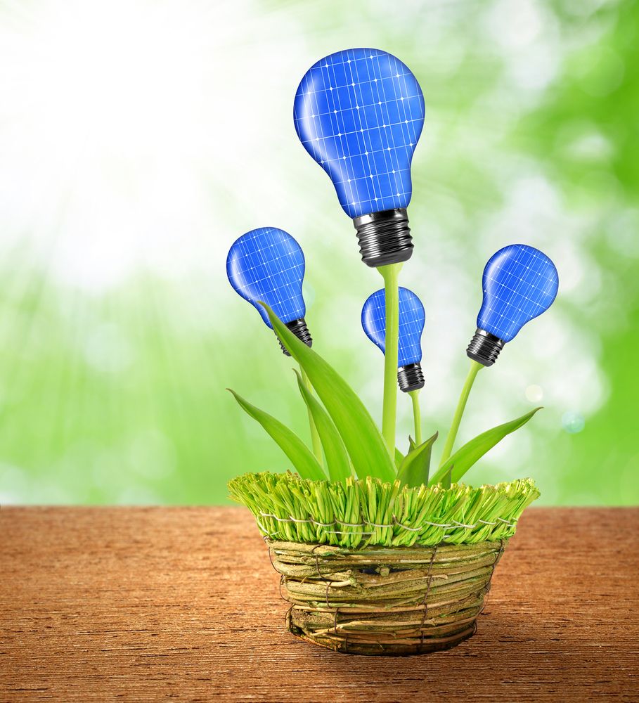 Energy demand analysis as a sustainability indicator in dairy production