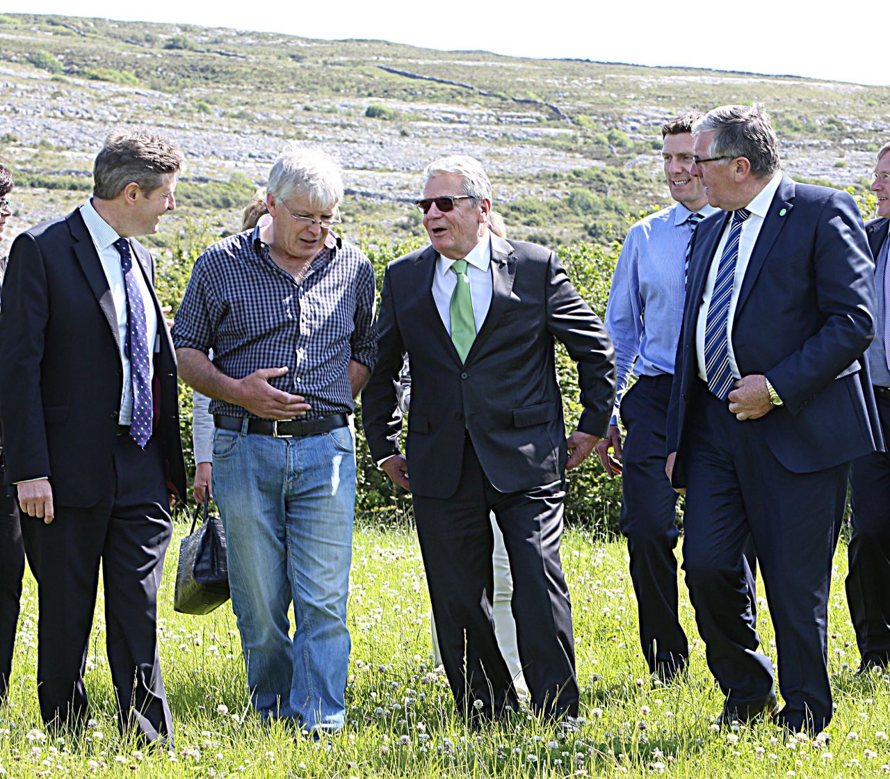 German President visits Irish beef and sheep farm
