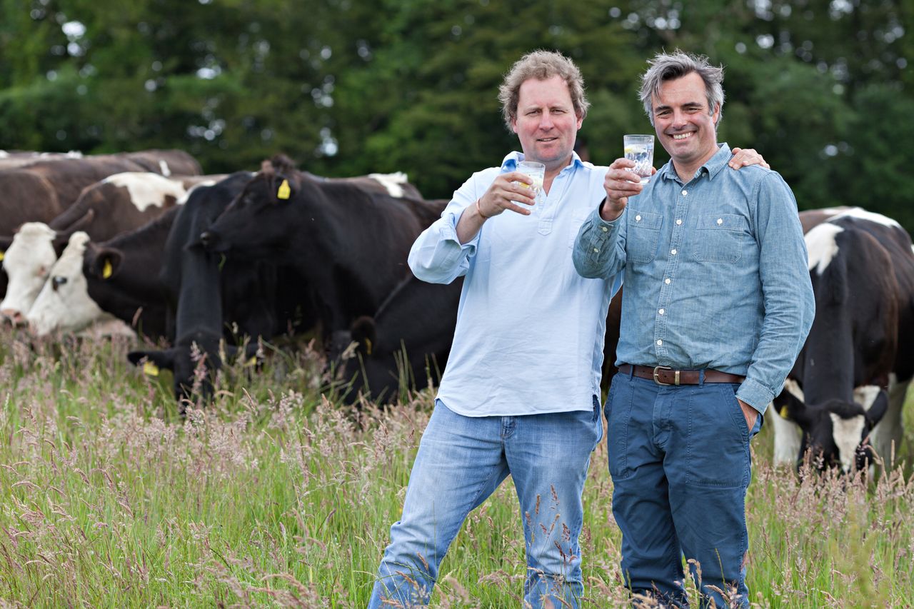 Co. Cork milk gin goes from 'grass to glass'