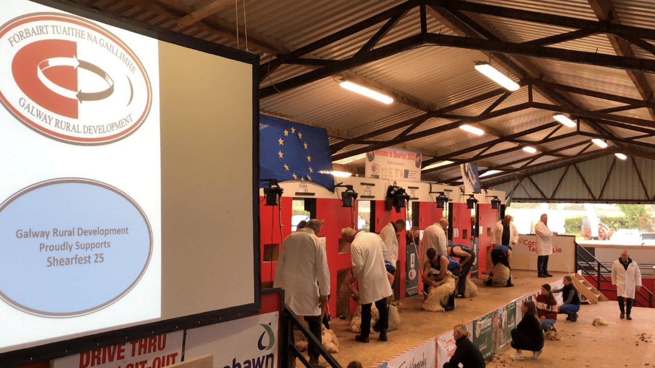 Shearfest championships to return to Mountbellew
