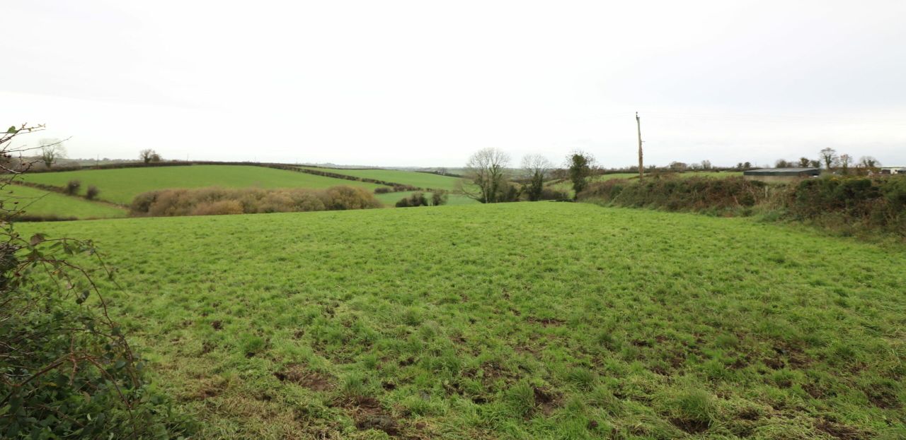 Agricultural land provides 40ac and winter accommodation for livestock
