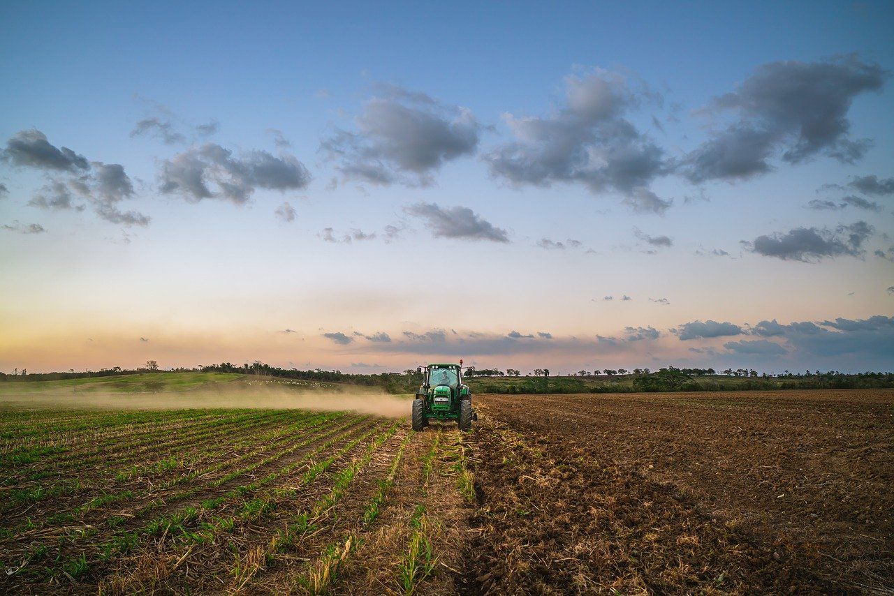Call for 'improved' working conditions in agri-sector in next CAP