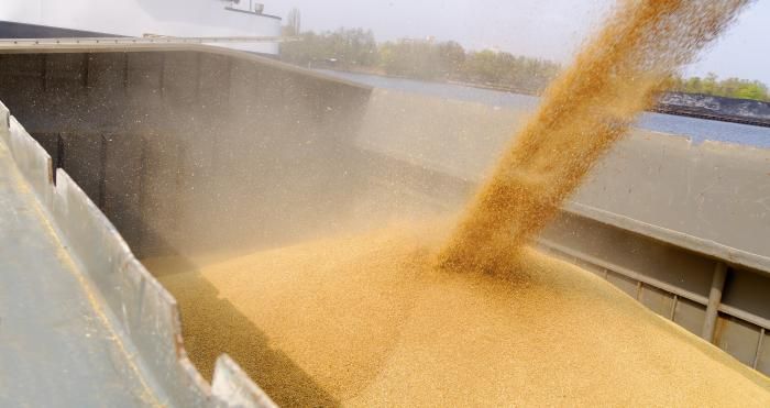 Grain price: Jump in the middle of the week