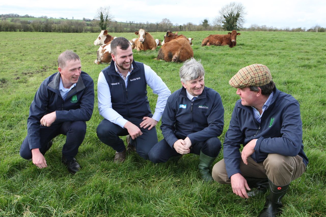 4 reasons why farmers should flock to beef conference