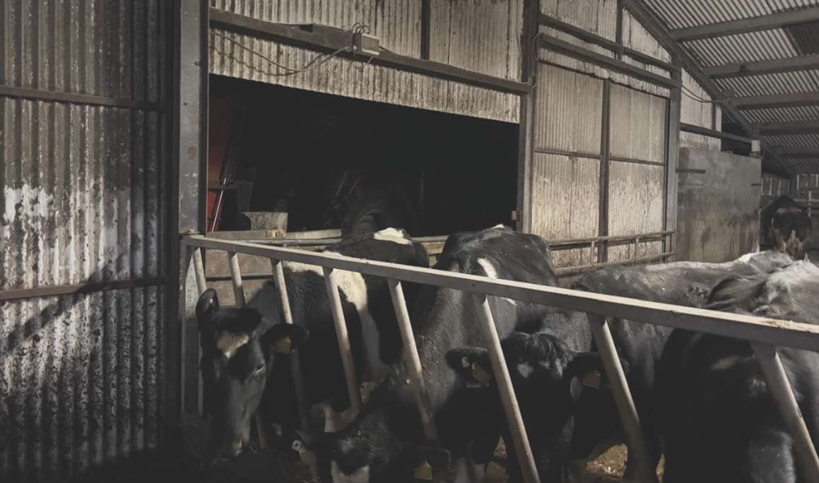 'Lack of water' big problem after storm - Co. Galway dairy farmer