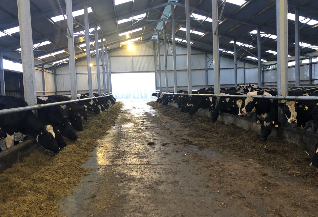 Dairy focus: 'It was the right time to come home; my father was ready to take a step back'