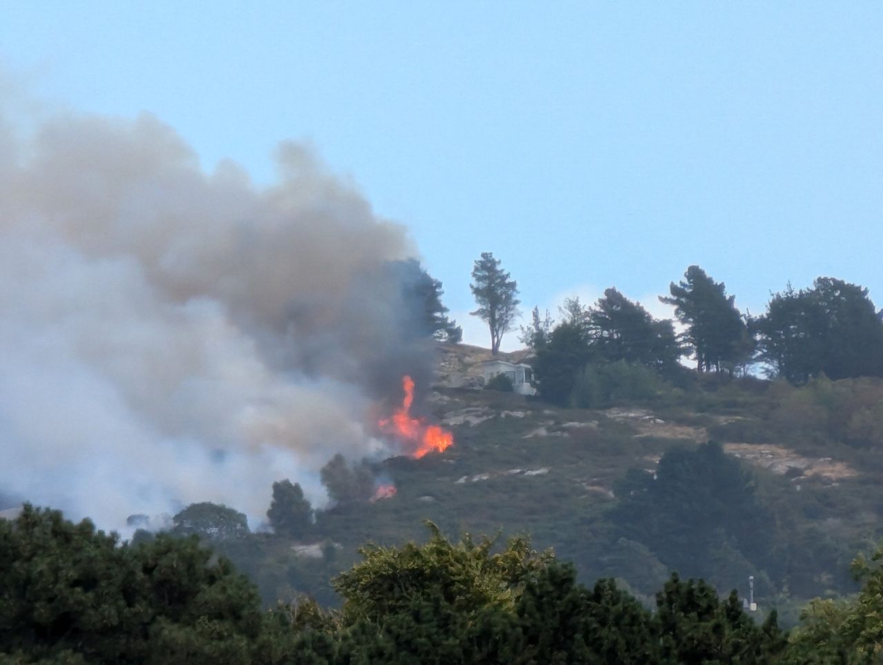 Timber growers call on landowners and public to report all fires