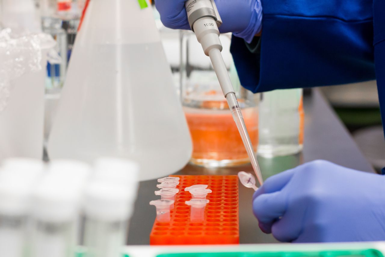 121 cases of Covid-19 found in first round of serial testing in meat plants