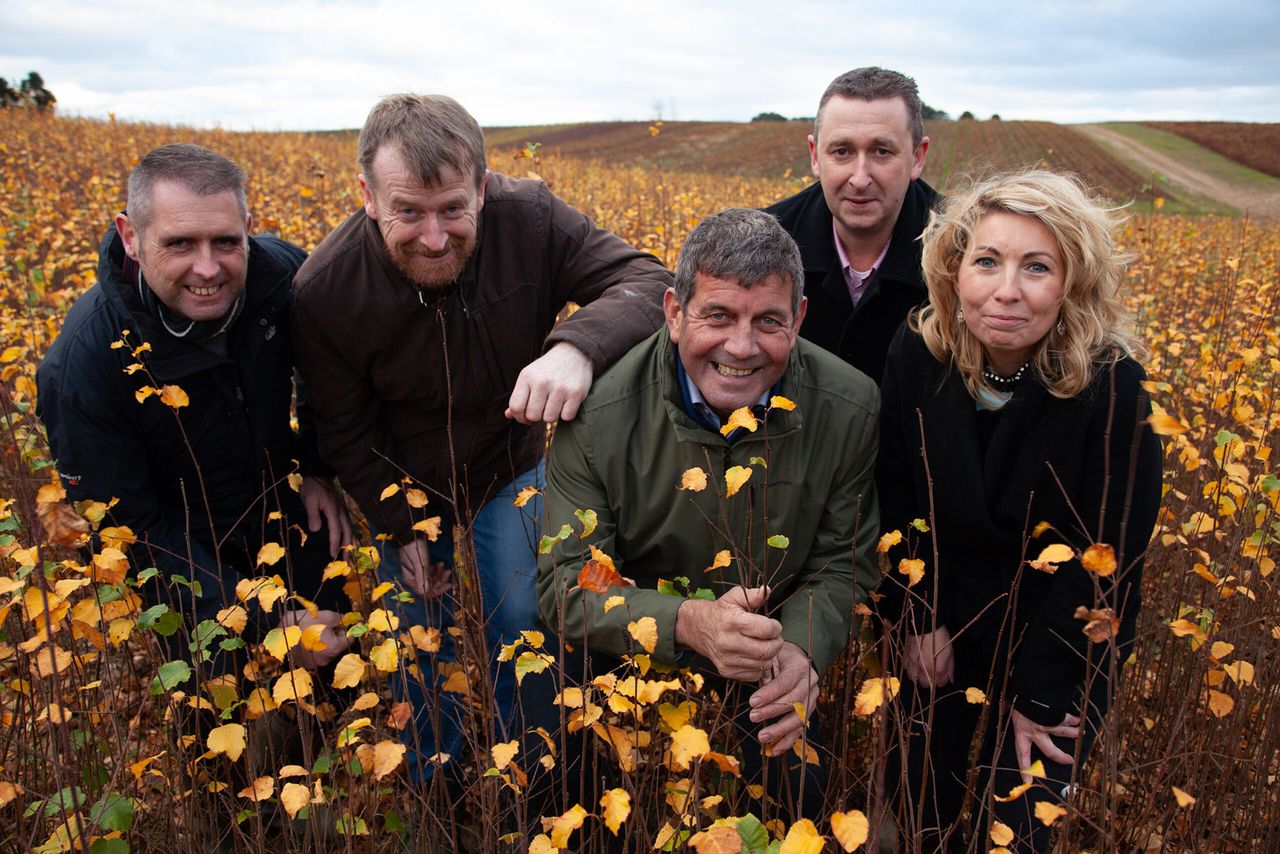 5 million broadleaf trees to be planted in Ireland this year
