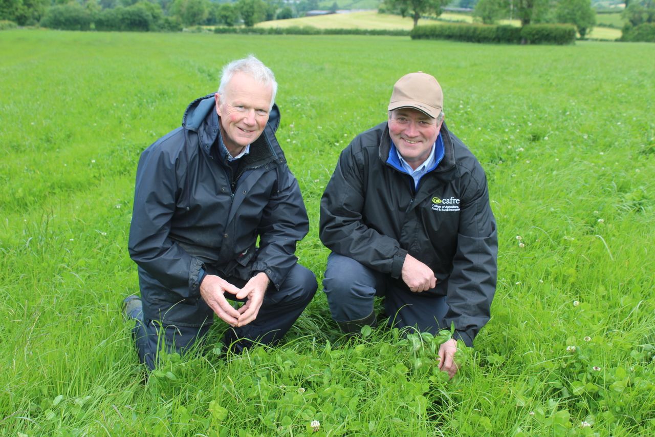 Opinion: Let the great grass-cutting height debate begin