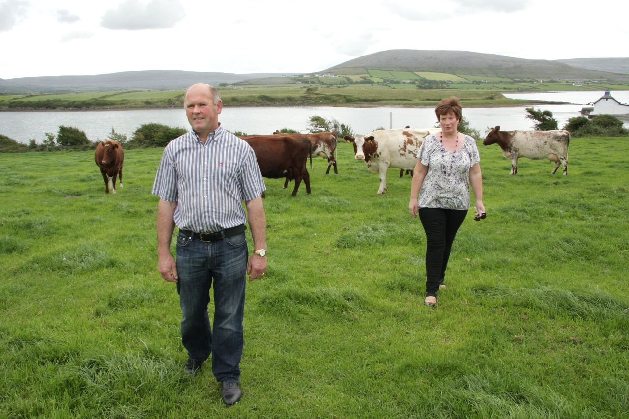 Diversification key for this Burren-based dairy farming family
