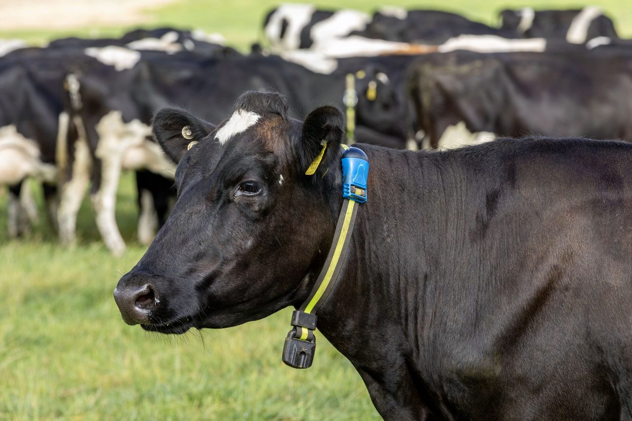 Smart monitoring 'can indicate presence of disease' before clinically apparent - research