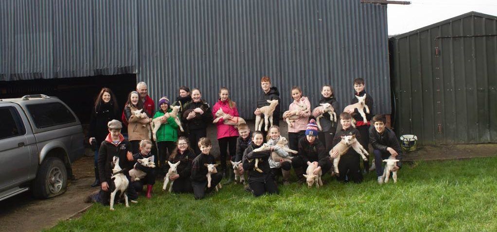 Sculptor collaborates with sheep farmer for school residency